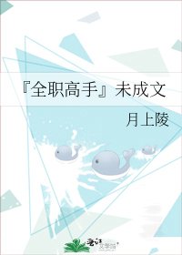 『全职』未成文